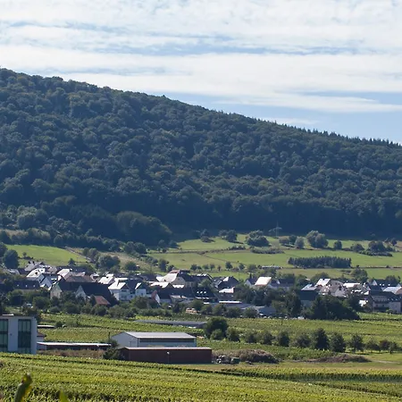 Gaestehaus Marietta Osann-Monzel